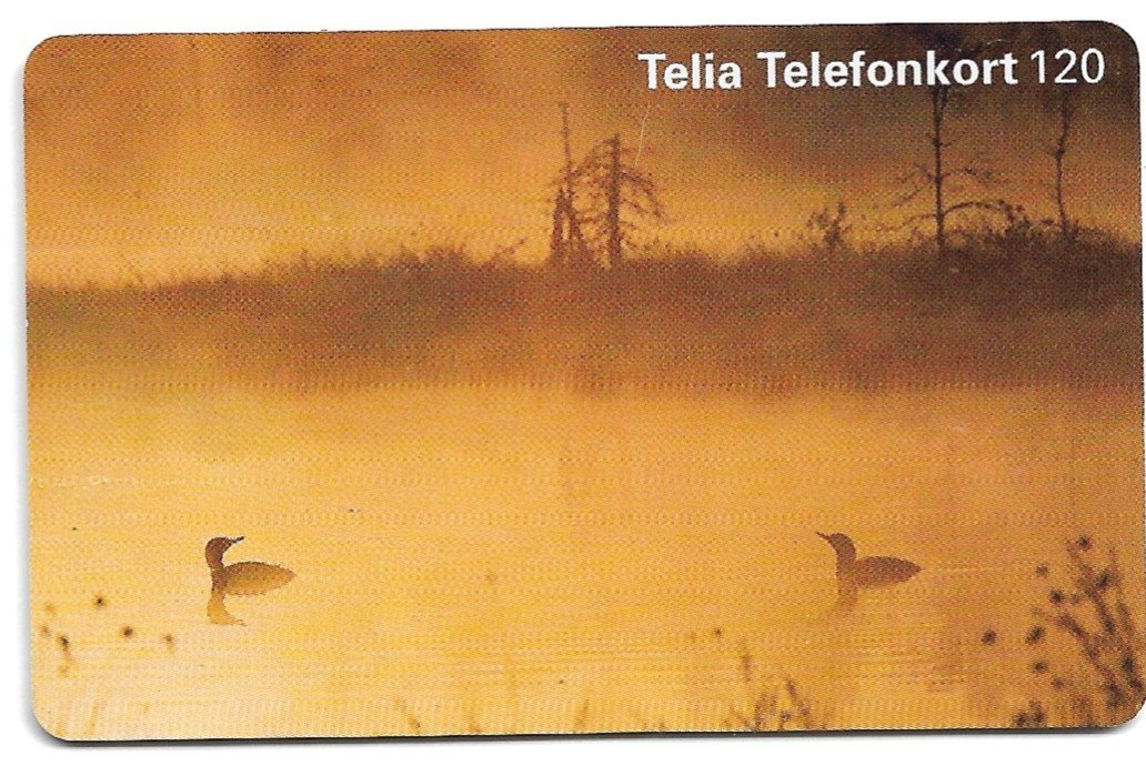 TARJETA TELEFONICA SUECIA 120 UNIDADES PAISAJE 1995