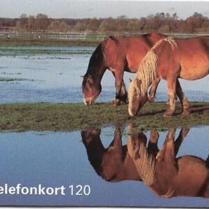 TARJETA TELEFONICA SUECIA 120 UNIDADES PAISAJE 1996