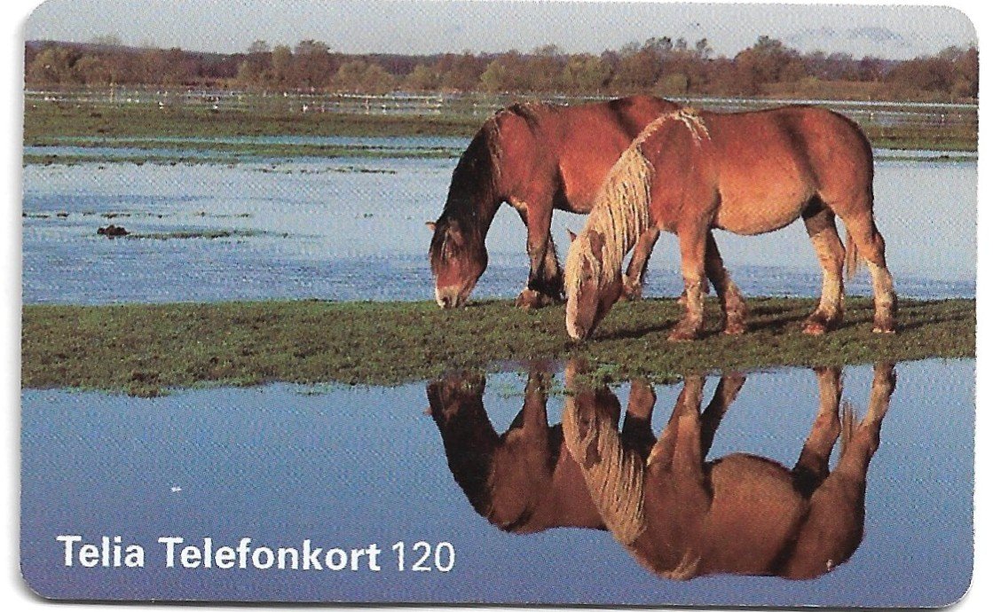 TARJETA TELEFONICA SUECIA 120 UNIDADES PAISAJE 1996