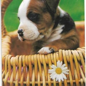 TARJETA TELEFONICA SUECIA 120 UNIDADES ANIMALES 1997