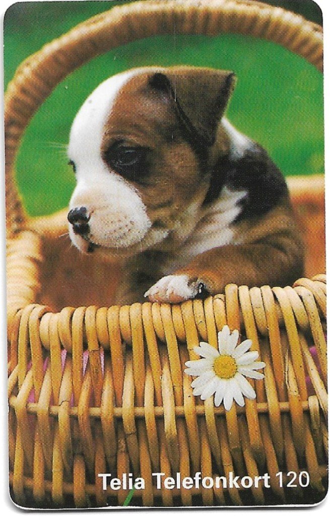 TARJETA TELEFONICA SUECIA 120 UNIDADES ANIMALES 1997