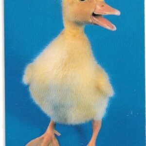 TARJETA TELEFONICA SUECIA 120 UNIDADES ANIMALES 1997