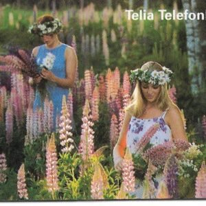 TARJETA TELEFONICA SUECIA 120 UNIDADES PAISAJE 1998