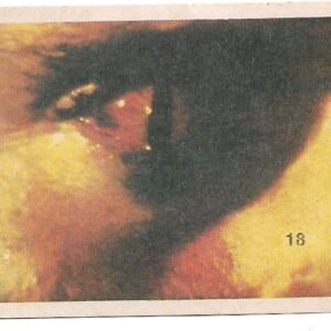 FIGURITA DE INVASÍON EXTRATERRESTRE 1984 N°18