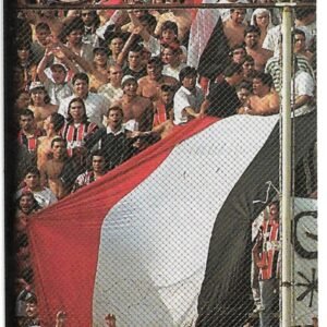 FIGURITA ARGENTINA FUTBOL 2007 N° 106