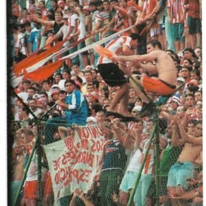 FIGURITA ARGENTINA FUTBOL 2007 N° 388