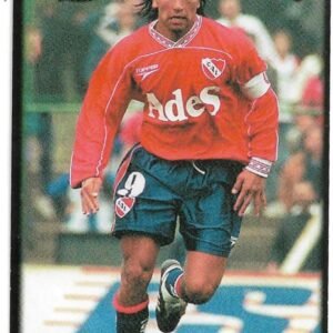 FIGURITA ARGENTINA FUTBOL 2007 N° 208