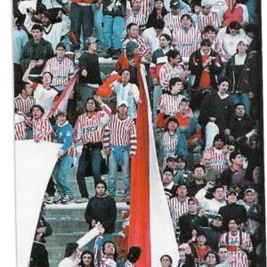 FIGURITA ARGENTINA FUTBOL 2007 N° 230