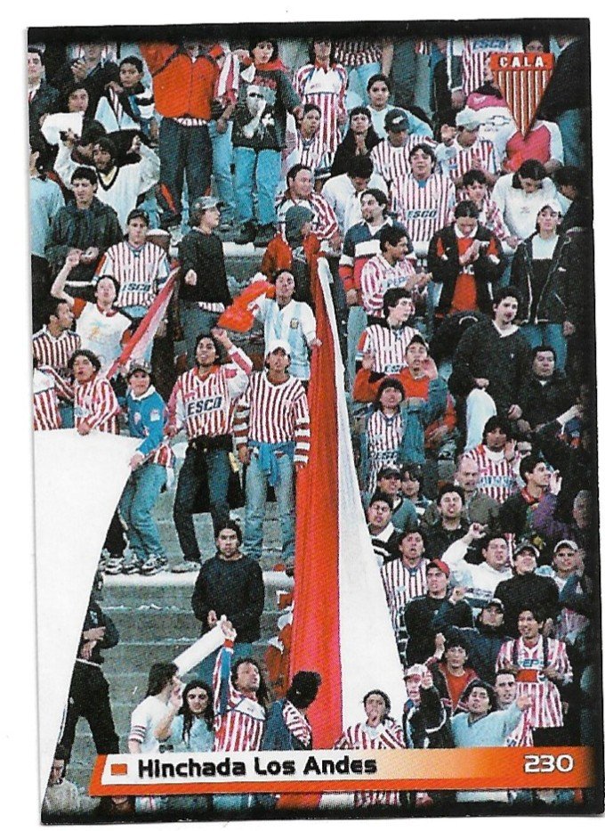 FIGURITA ARGENTINA FUTBOL 2007 N° 230