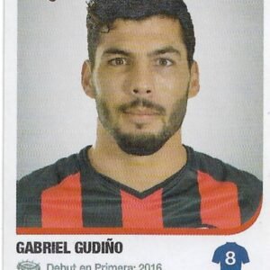 FIGURITA ARGENTINA FUTBOL 2018-2019 N°295