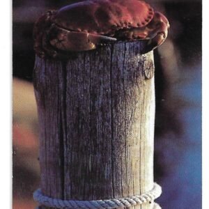 TARJETA TELEFONICA SUECIA 120 UNIDADES ANIMALES 1996