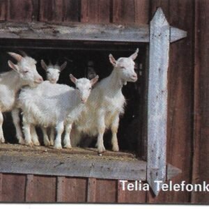 TARJETA TELEFONICA SUECIA 120 UNIDADES ANIMALES 1996