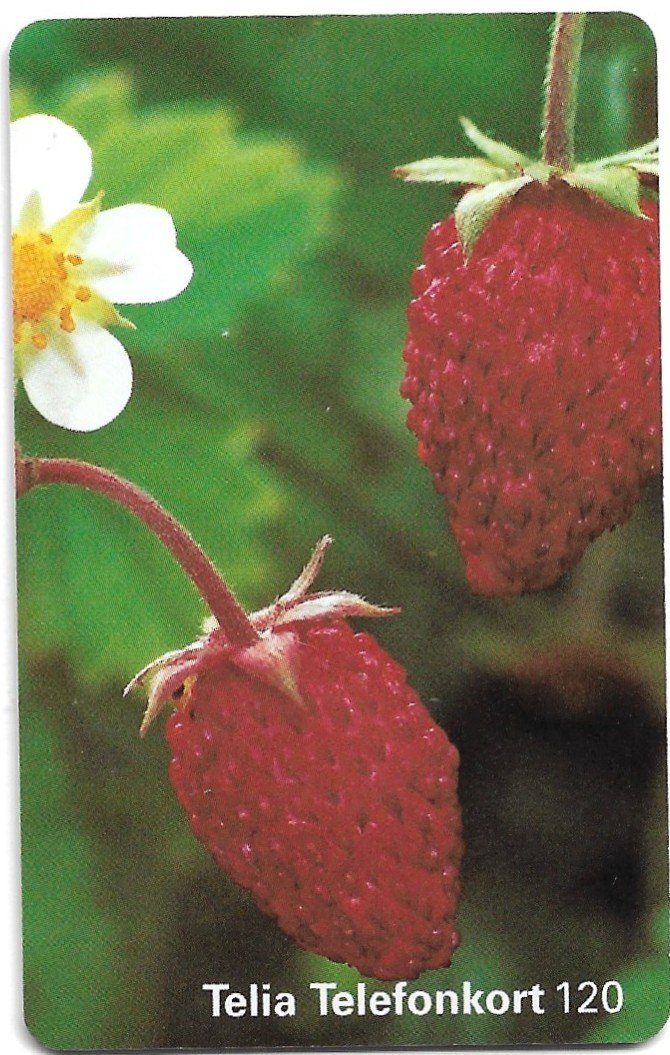 TARJETA TELEFONICA SUECIA 120 UNIDADES FLORA 1997