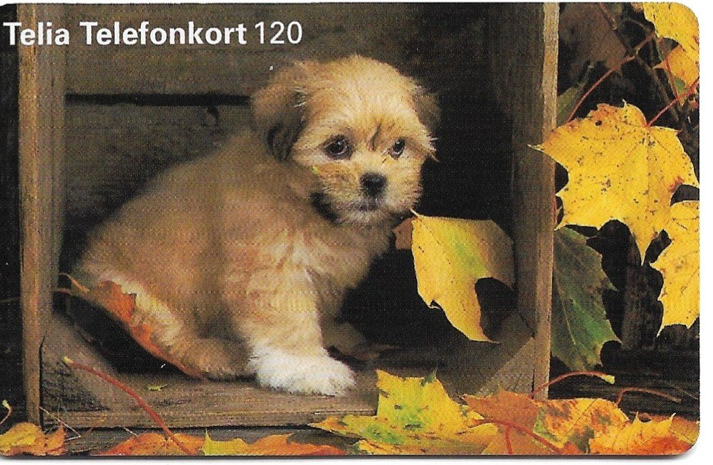 TARJETA TELEFONICA SUECIA 120 UNIDADES ANIMALES 1997