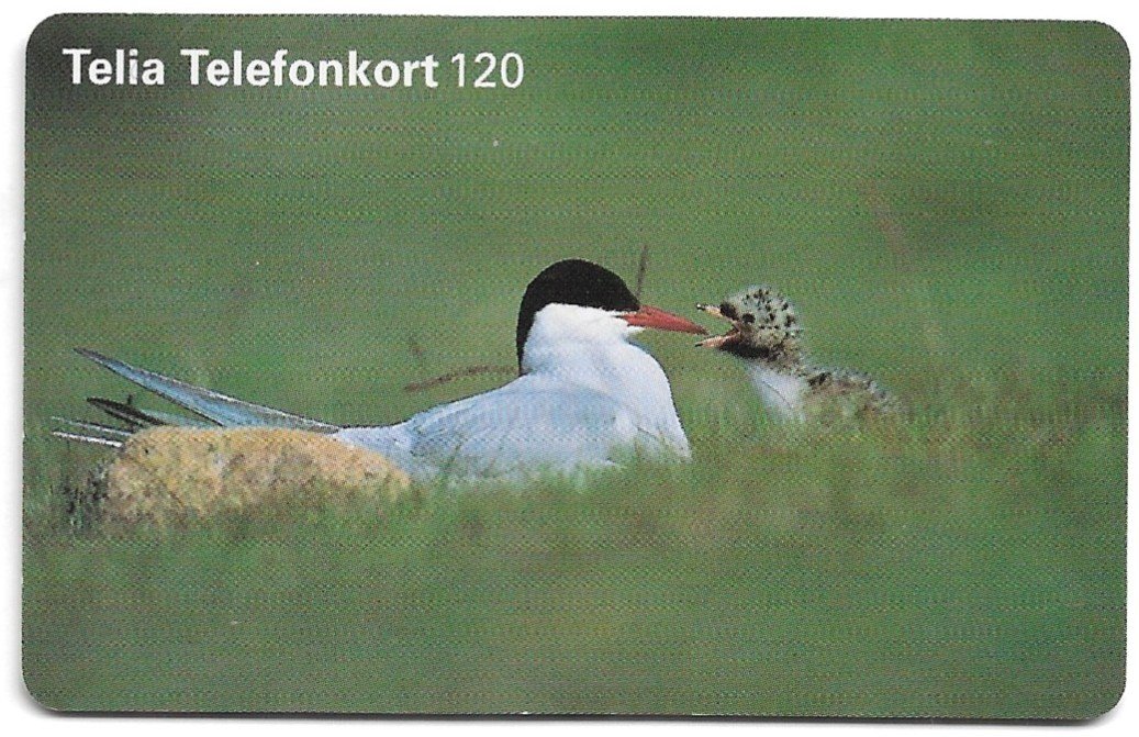 TARJETA TELEFONICA SUECIA 120 UNIDADES ANIMALES 1997