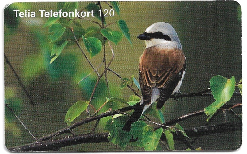 TARJETA TELEFONICA SUECIA 120 UNIDADES ANIMALES 1999