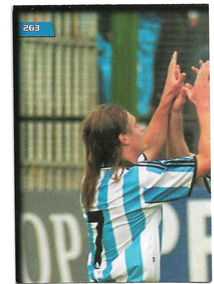 FIGURITA ARGENTINA FUTBOL 2007 N° 263