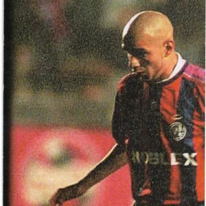 FIGURITA ARGENTINA FUTBOL 2007 N°346