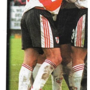 FIGURITA ARGENTINA FUTBOL 2007 N°291