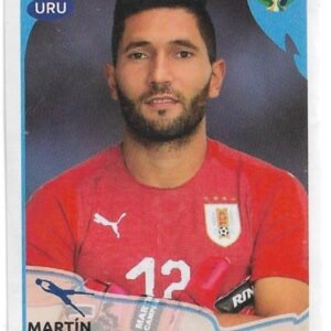 FIGURITA DE CONMEBOL COPA AMERICA BRASIL 2019 N°240