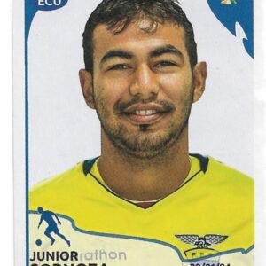 FIGURITA DE CONMEBOL COPA AMERICA BRASIL 2019 N°270