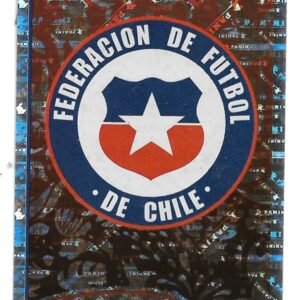 FIGURITA DE CONMEBOL COPA AMERICA BRASIL 2019 N°305