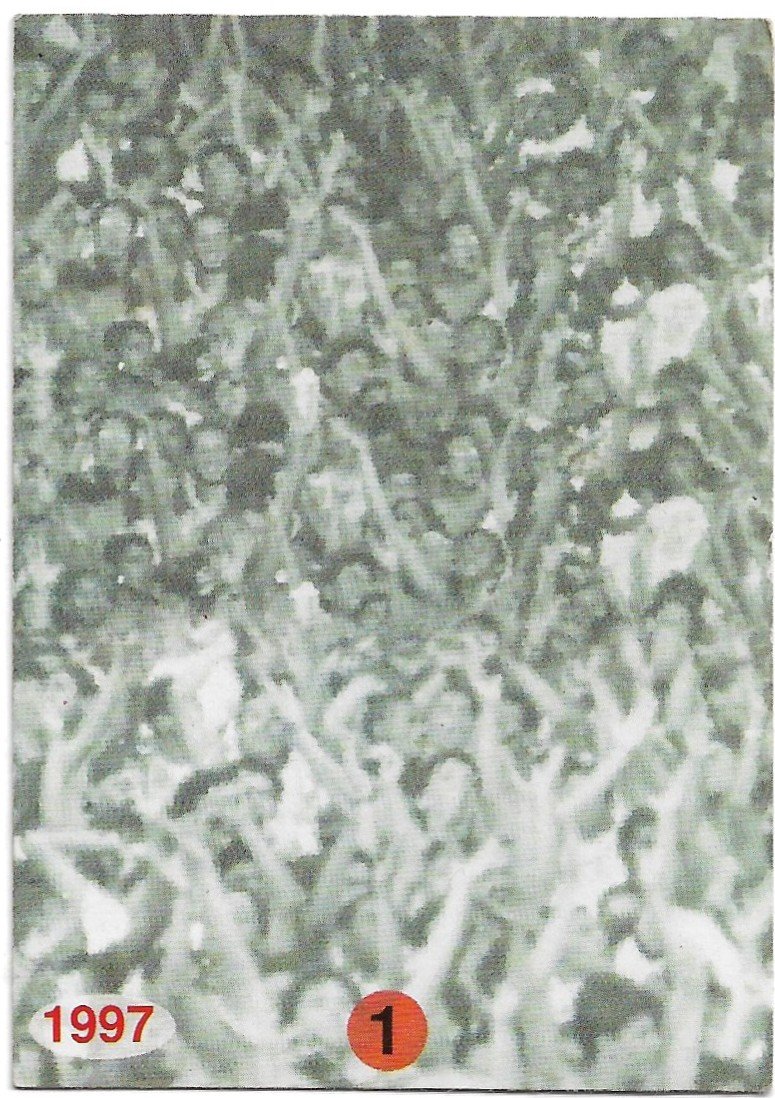 TARJETA PANIFICADOS PANINI Y COCA COLA N°1 COCA COLA