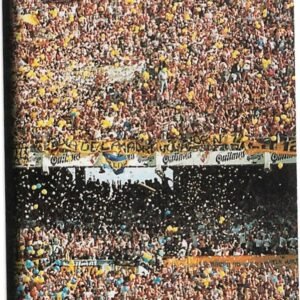 FIGURITA ARGENTINA FUTBOL 2007 N° 55