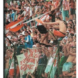 FIGURITA ARGENTINA FUTBOL 2001 N°388