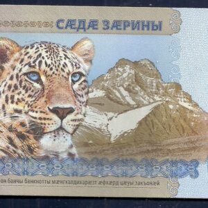 OSETIA DEL SUR NOVEDAD 100 RUBLOS PW1 2025