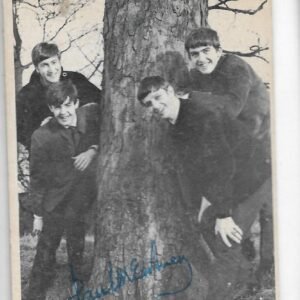 FIGURITA DE LOS BEATLES N°35
