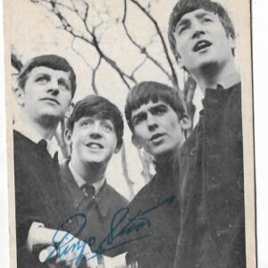 FIGURITA DE LOS BEATLES N°13