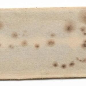 HOJA DE AFEITAR ESCUDO DE TOLEDO